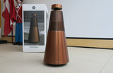 BeoSound 2 MK2 <br>Drahtloses Musiksystem <br>bronze tone (2020)