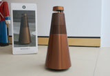 BeoSound 2 MK2 <br>Drahtloses Musiksystem <br>bronze tone (2020)